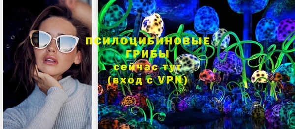 ешки Абаза