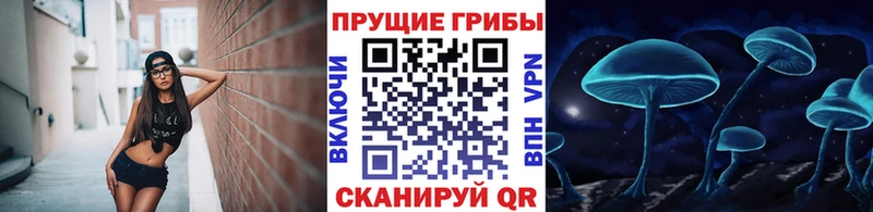 сайты даркнета какой сайт  наркошоп  Чекалин  Псилоцибиновые грибы GOLDEN TEACHER 